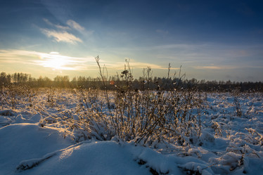 Similar image 10460344