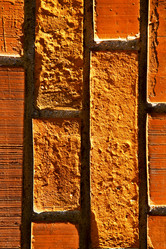 Similar image 10460358