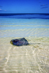 Similar image 10460399