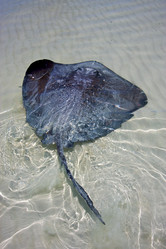 Similar image 10460400