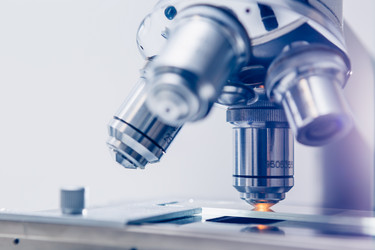 Similar image 10460424