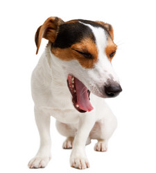 Similar image 10460430