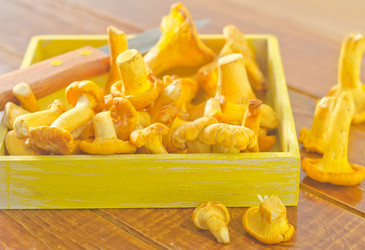 Similar image 10460524