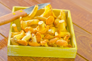 Similar image 10460527