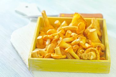 Similar image 10460556