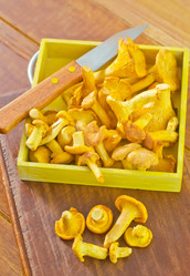 Similar image 10460558