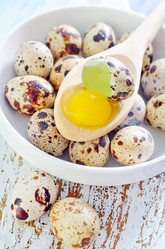 Similar image 10460559