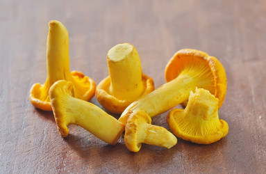 Similar image 10460560