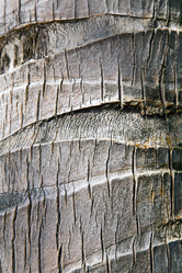 Similar image 10460821