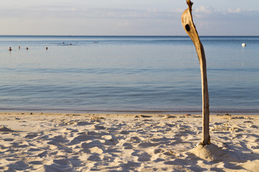 Similar image 10460824