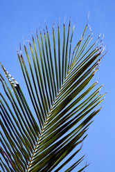 Similar image 10460826