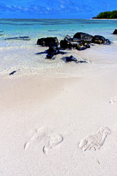 Similar image 10460828