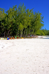 Similar image 10460830