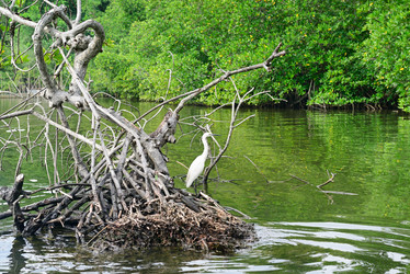 Similar image 10460940