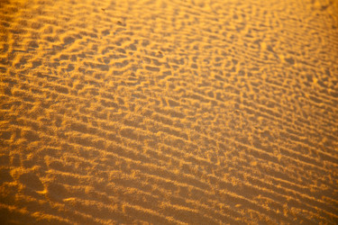 Similar image 10462244