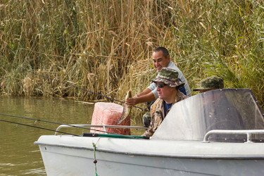 Similar image 10462259