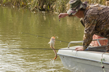 Similar image 10462260