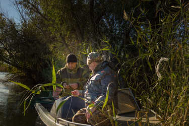 Similar image 10462262