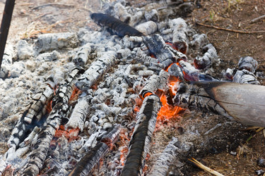 Similar image 10462266