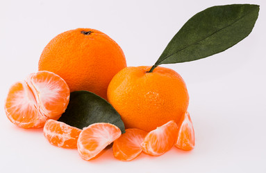 Similar image 10462283