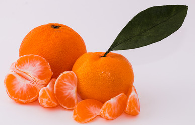 Similar image 10462284