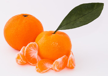 Similar image 10462285