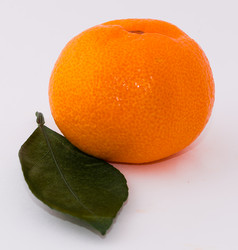 Similar image 10462298