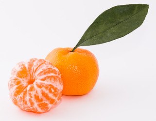 Similar image 10462303