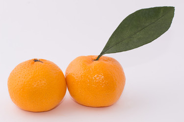 Similar image 10462304