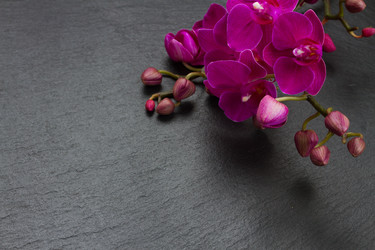 Similar image 10462312