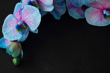 Similar image 10462313