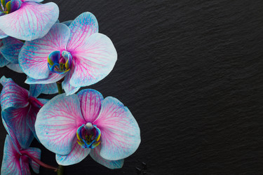 Similar image 10462314