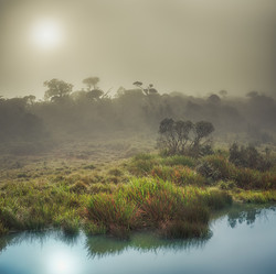 Similar image 10462334