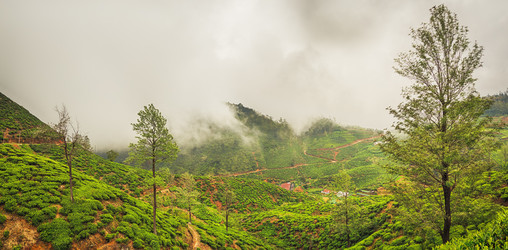 Similar image 10462337