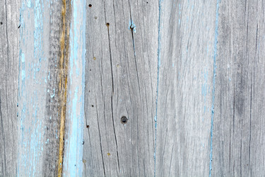 Similar image 10462355