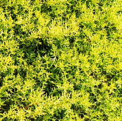 Similar image 10462384