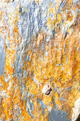 Similar image 10462438