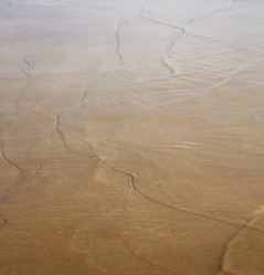 Similar image 10462440