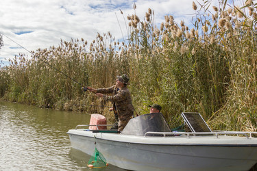 Similar image 10462488