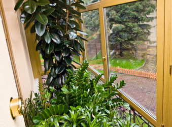 Similar image 10462640