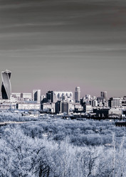 Similar image 10462837