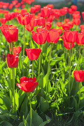 Similar image 10462970