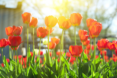 Similar image 10463010