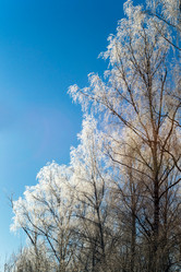 Similar image 10463095