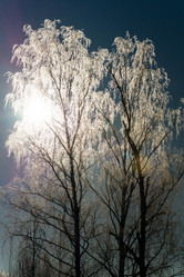 Similar image 10463096