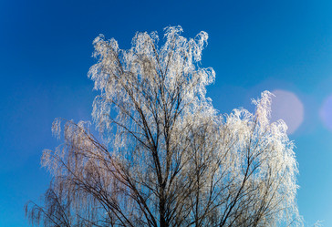 Similar image 10463097