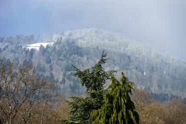 Similar image 10463098