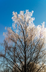 Similar image 10463101