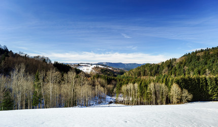 Similar image 10463108