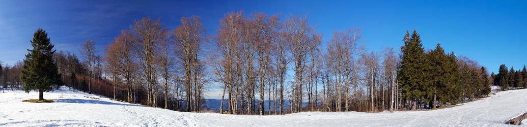 Similar image 10463110